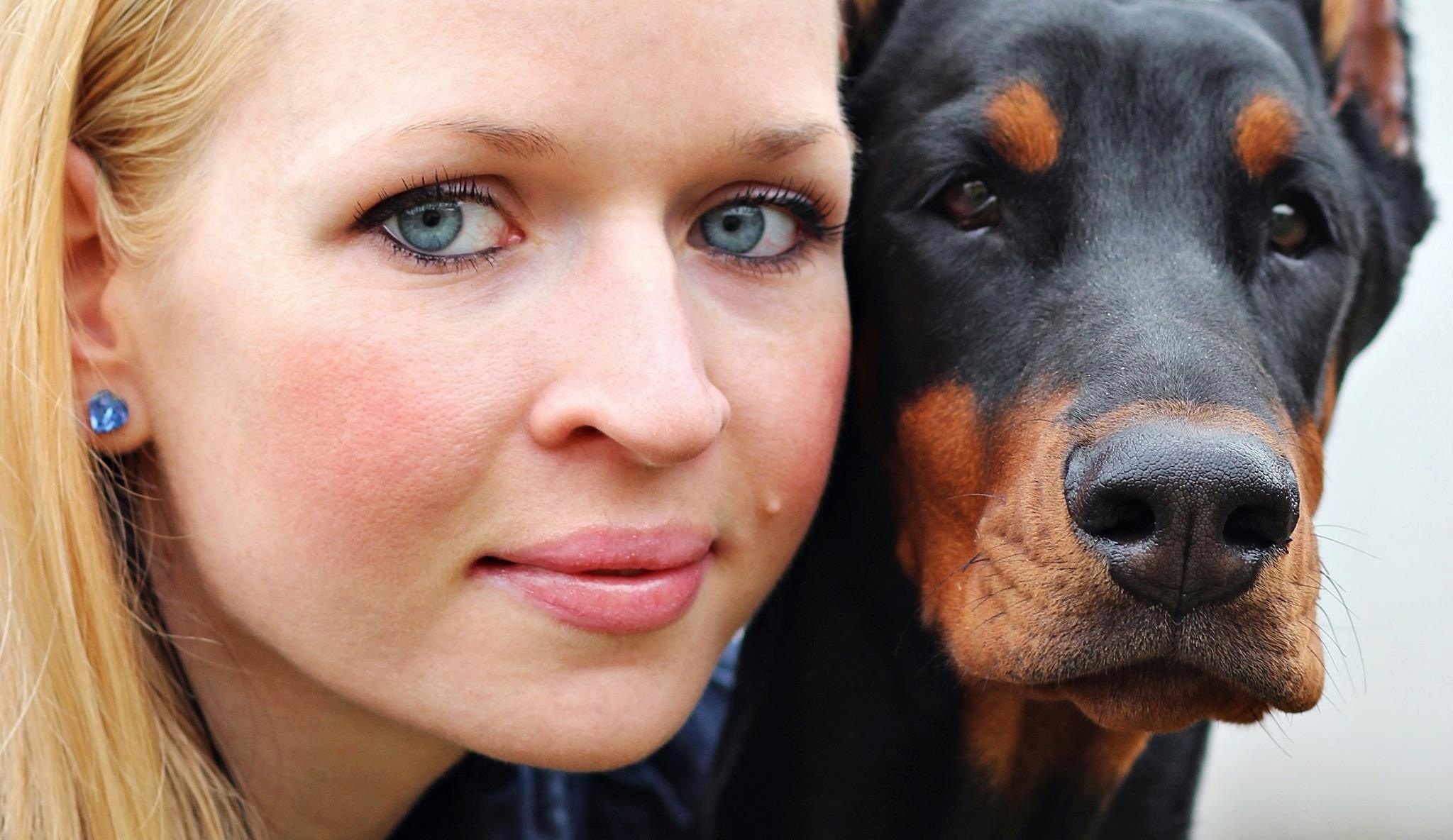 Zwei Hunde gemeinsam